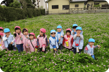 れんげ畑でお花摘み